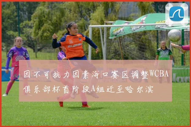 因不可抗力因素海口赛区调整WCBA俱乐部杯首阶段A组迁至哈尔滨