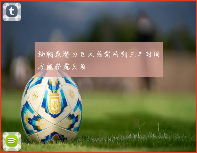 杨瀚森潜力巨大或需两到三年时间方能崭露头角